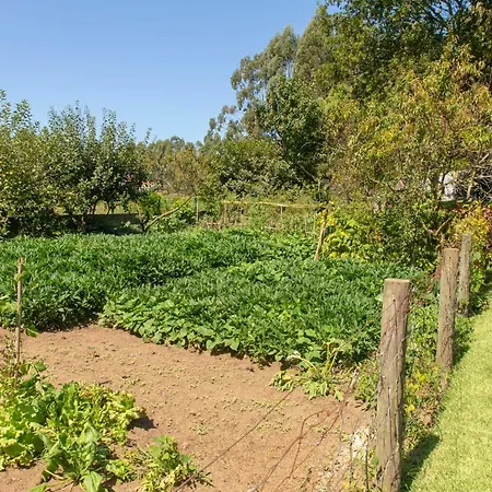 Quintinha Do Periqueiro 4*