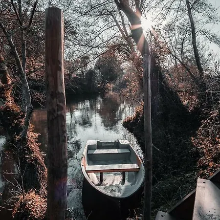 Quintinha Do Periqueiro 4*