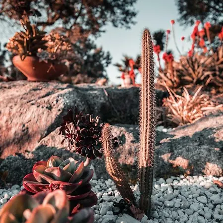 招待所 Quintinha Do Periqueiro