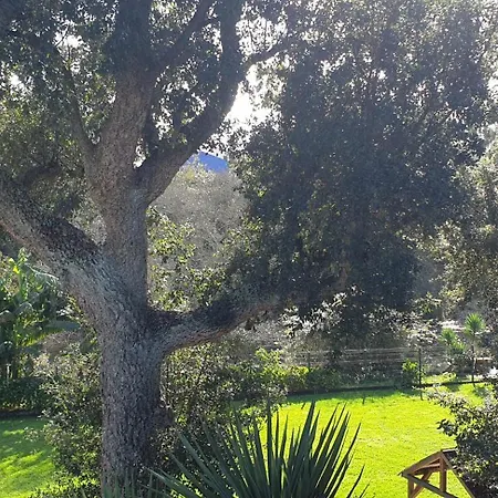 Gæstehus Quintinha Do Periqueiro 4*