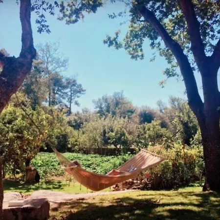 Gæstehus Quintinha Do Periqueiro Castelo Do Neiva