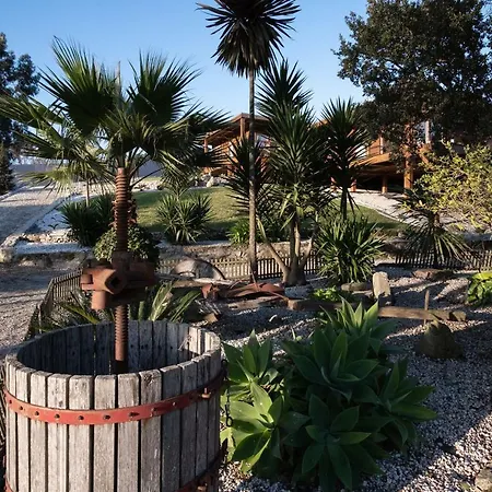 Quintinha Do Periqueiro Affittacamere Castelo Do Neiva