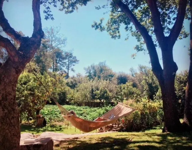 Vendégház Quintinha Do Periqueiro Castelo do Neiva