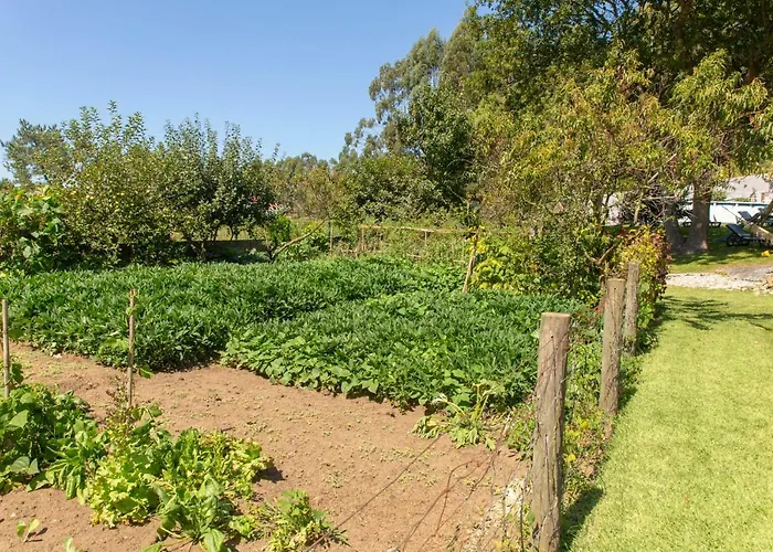 Quintinha Do Periqueiro 4*