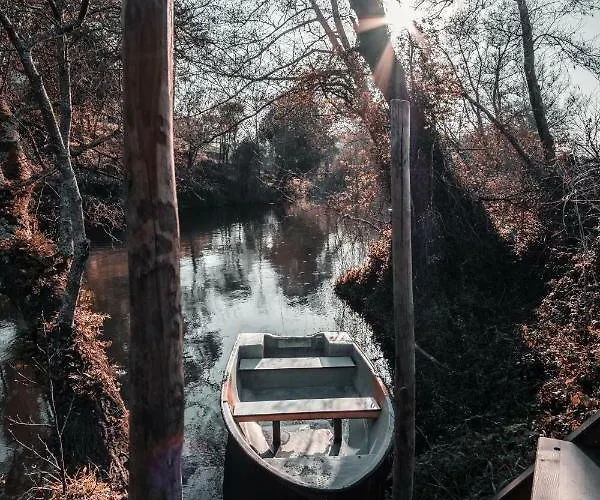 Quintinha Do Periqueiro 4*