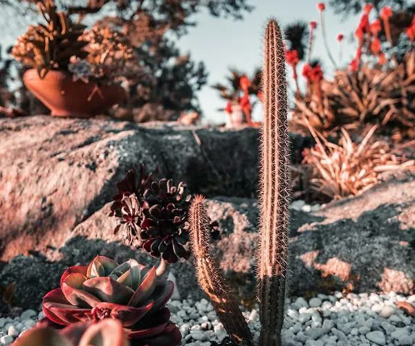 Vendégház Quintinha Do Periqueiro